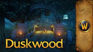 Duskwood  Music amp Ambience  World of Warcraft [upl. by Zannini441]