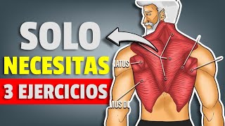 ✅Los ÚNICOS 3 ejercicios de ESPALDA con mancuernas Para Hombres Mayores De 30 Años workout [upl. by Seilenna435]