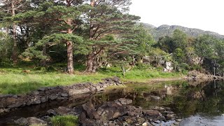 LondonCornwall Newquay Kerry county Ireland Killarney national park Summer trip [upl. by Irmgard]