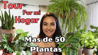 TOUR por Mi Casita 🏡con mas de 50 PLANTAS de Interior [upl. by Fiorenze]