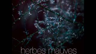 Plaisir de France amp Barbara Carlotti Herbes Mauves Instrumental [upl. by Pascia]