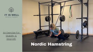 Banded Nordic Hamstrings [upl. by Figge489]