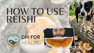 How To Use Reishi Mushrooms After Harvesting [upl. by Karyn]