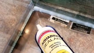 125 Gallon Tank Reseal [upl. by Einhpets]