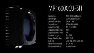 TE Cooled Color and Monochrome CCD Camera with IEEE1394A Interface [upl. by Gilba]