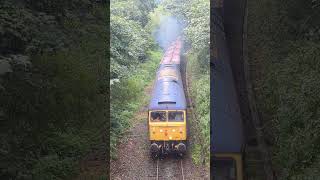 Bodmin and Wenford railway gala in under 60 seconds train heritagerailway steamtrain [upl. by Kipper473]