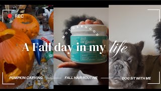 A Fall day in my life  Hair Care Routine Sushi Run Journaling amp Dog Sitting 🐶🍁 [upl. by Sturges]