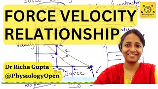 Force velocity relationship muscle  physiology mbbs 1st year [upl. by Kcyrred]