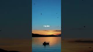 One day Im gonna fly away  Lyrics edit  shorts lyricsvibe [upl. by Lananna]