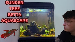 Wild Betta Aquascape  Nano Aquarium Setup [upl. by Nicko]