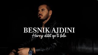 Besnik Ajdini  Harroj ditët që ti fala COVER [upl. by Bresee66]