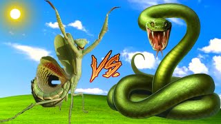 Mantis vs Snake Fight With SHINCHAN vs CHOP Epic Battle Mafia Gaming [upl. by Valencia]