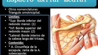 Miembro Superior 1 Topografía [upl. by Magnolia]