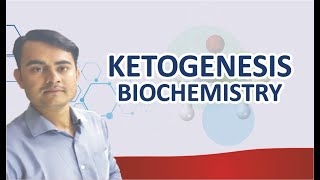 KETOGENESIS BIOCHEMISTRY SIMPLIFIED [upl. by Kilk633]