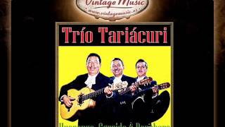 Trio Tariacuri  Los Dos Hermanos Corrido [upl. by Ttevi]