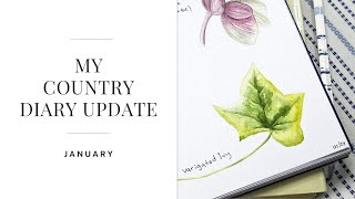 Artist Creates her Own Country Diary  January [upl. by Aneladdam]