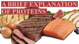 A Basic Explanation of Proteins [upl. by Wedurn]