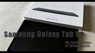 Samsung Galaxy Tab S9 5G  Erzgebirger80 [upl. by Maggi]