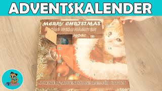 Spielzeug Adventskalender für KATZEN im Test ✅ [upl. by Hatokad325]