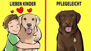 Die 10 Besten Hunderassen Für Kinder Und Familien [upl. by Grimona]