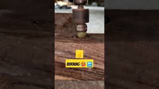 Burning of seed  drilling wood 🪵🪵woodworking wood viral experiment shorts youtubeshorts [upl. by Shimkus]