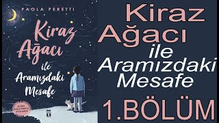 Kiraz Ağacı ile Aramızdaki Mesafe  1 Seslendirme Bölümü [upl. by Earased337]