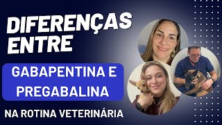 Diferenças entre gabapentina e pregabalina na rotina veterinária [upl. by Ainel774]