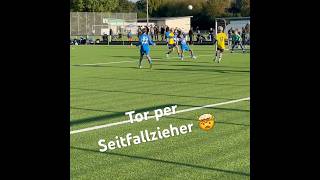 Traumtor per Seitfallzieher 🦾🤯 habibi tor goals skills soccer edit fyp viralvideo fy [upl. by Annahpos]