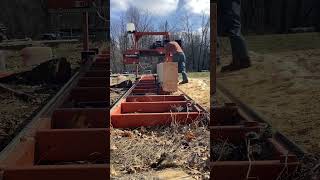 Dimensional sawing pine logs for woodworking projects [upl. by Matthieu]