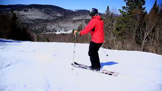 Telemark lessons  intro to moguls [upl. by Pincas]