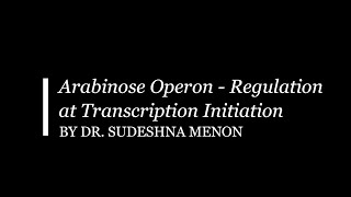 Arabinose Operon Regulation at Transcription Initiation [upl. by Irdua]