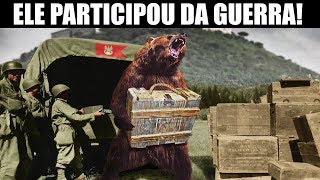 O quoturso soldadoquot polonês da 2ª guerra mundial Wojtek ww2 [upl. by Ecinrahs]