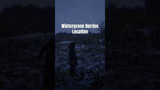 Wintergreen Berries Location arrakisstudio gaming rdr2 xbox [upl. by Bone]