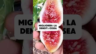 Inizia a mangiare i fichi benessere dieta curiosità naturaleza sano frutta italia perte [upl. by Chic]