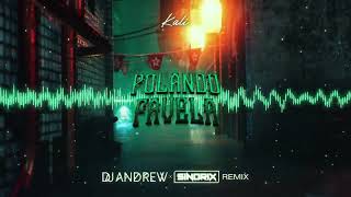 Kali  Polando Favela DJ ANDREW x SINDRIX REMIX [upl. by Enyedy279]