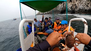 NOS VOLVIMOS LOCOS EN PUCUSANA  pesca en bote  Tablita Fishing [upl. by Lledroc144]