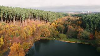 Cannock Chase National Forest drone footage [upl. by Dachia]