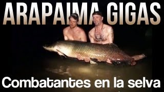 Arapaima Gigas  Combatantes en la selva  DVDklassiker från 2005 [upl. by Hannahoj71]