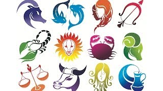 12 Zodiac Signs amp What They Mean  Astrology Charts [upl. by Hagi375]