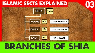 Branches of Shia Islam  Zaidi  Ismaili  Jafari Twelver  Episode 3  Islam sects explained NSH [upl. by Ciaphus616]