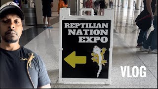 Vlog From The Reptilian Nation Expo In Houston  Rocket The Iguana [upl. by Ethelda]