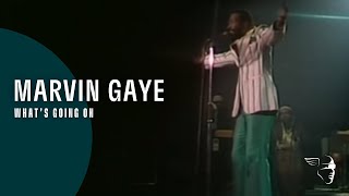 Marvin Gaye  Whats Going On Greatest Hits  Live In Amsterdam [upl. by Vullo]