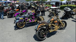 Bay Area Throttle Fest 2024  Harley Davidson San Jose [upl. by Laurence572]