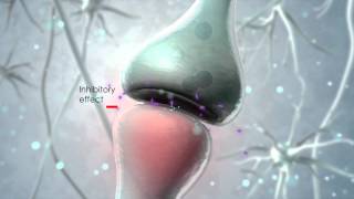 Visualization of the endocannabinoid signaling system [upl. by Dyolf292]