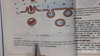 Endocytosis and Exocytosis Class 11 Federal Board Biology [upl. by Bourke]