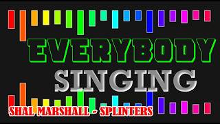 SHAL MARSHALL  SPLINTERS OFFICIAL LYRICS SOCA 2018 [upl. by Yereffej273]