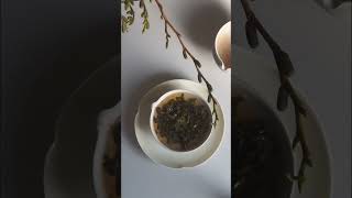 静岡本山産の四季春を使った萎凋釜炒り茶を絞り出しで淹れる Brewing Japanese oolong tea in a Shiboridashi kyusu [upl. by Wolenik]