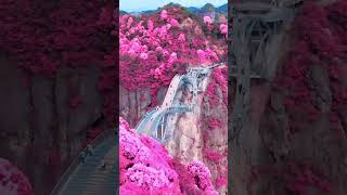 Ruyi Bridge 如意桥  A Breathtaking Footbridge in Taizhou Zhejiang China in Cherry Blossom Season [upl. by Mireille270]