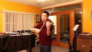 Swedish House Mafia  Save the World Medley Jon C Chen Violin Cover [upl. by Isaiah]