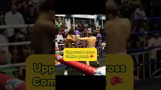 Boxing uppercut amp cross combo punch 🥊 ytshorts mma boxing uppercut boxingtraining ng [upl. by Nahte]